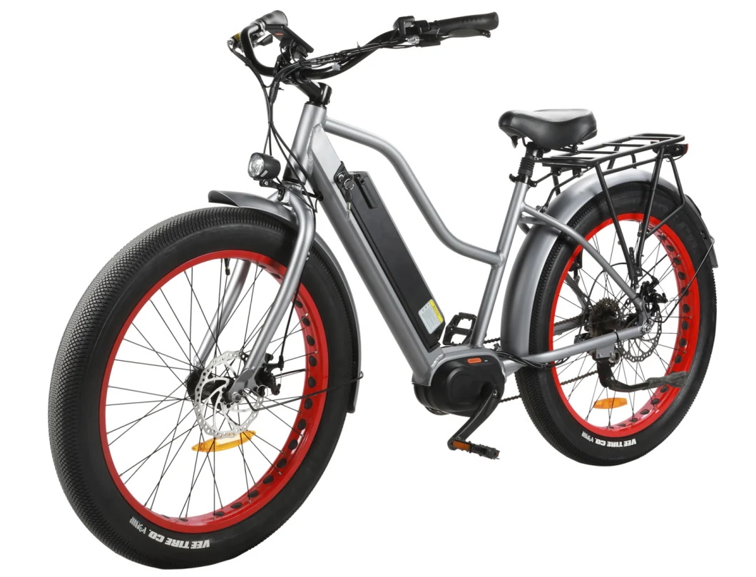 48V Motor 7 Speed 26inch Big Wheel Mountain Electric Bike