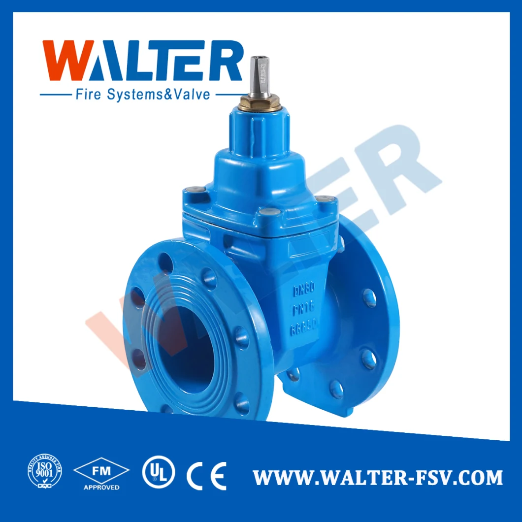 Pn10 Pn16 Hand Wheel Resilient Seated Cast Iron Flanged Gate Valve