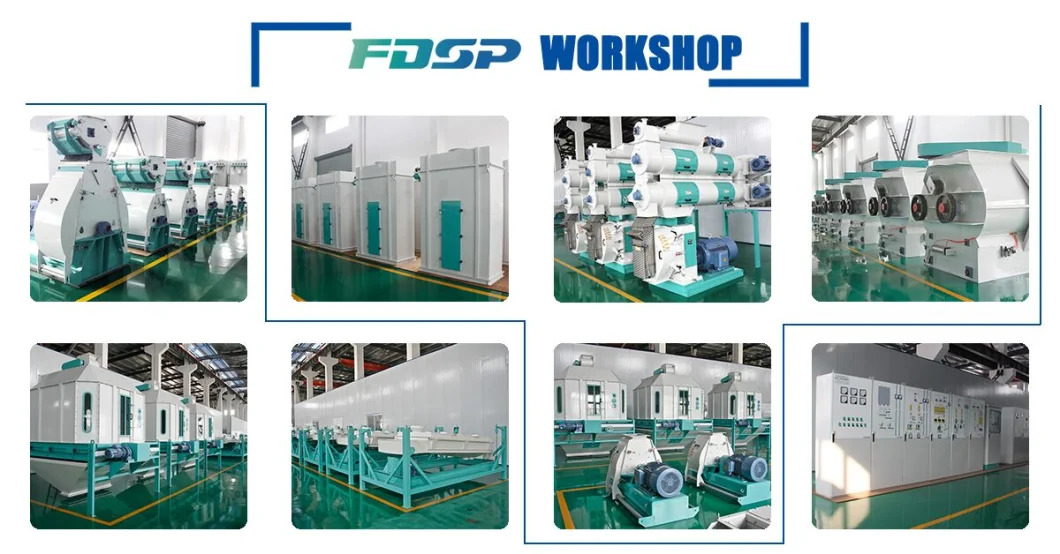 Normal Fish Feed Pellet Machine Pellet Making Plant Line