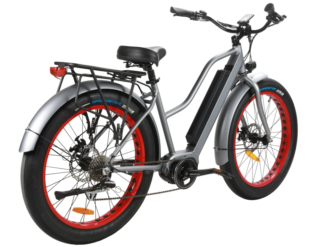 48V Motor 7 Speed 26inch Big Wheel Mountain Electric Bike