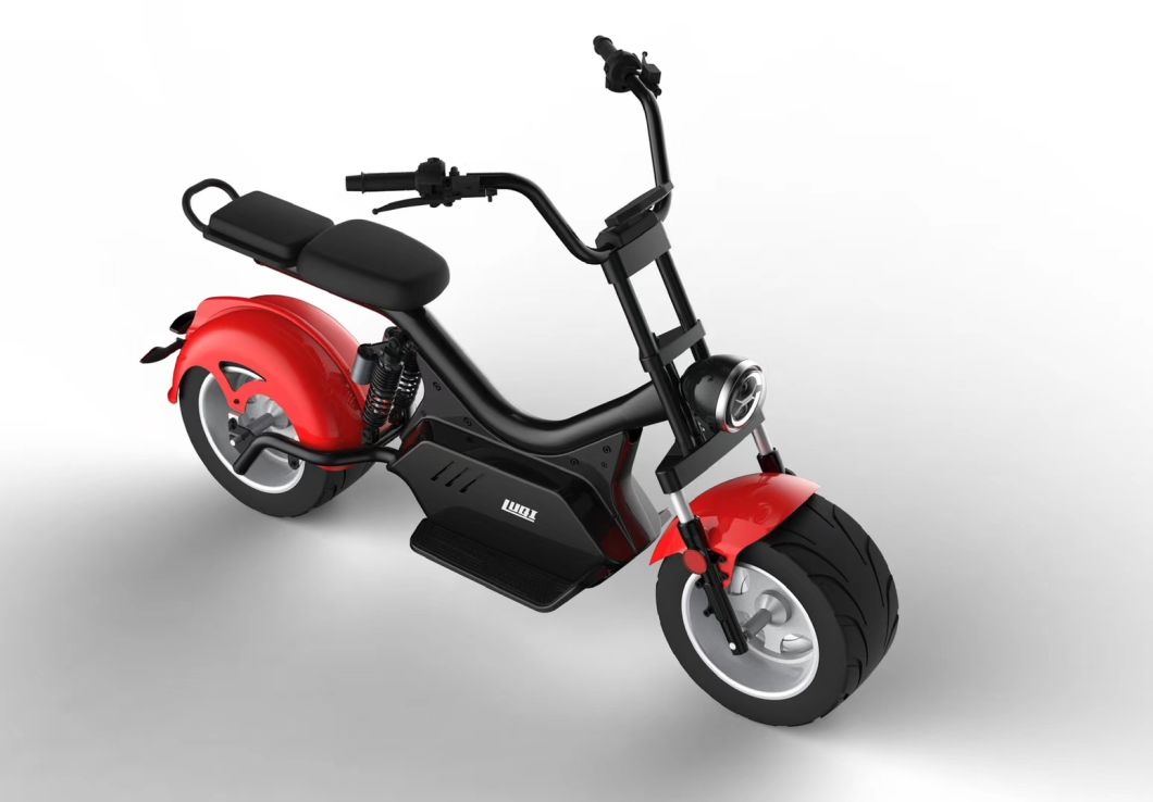 Citycoco Scooter Big Wheel Electric Bike 1200W EEC Electric Scooter