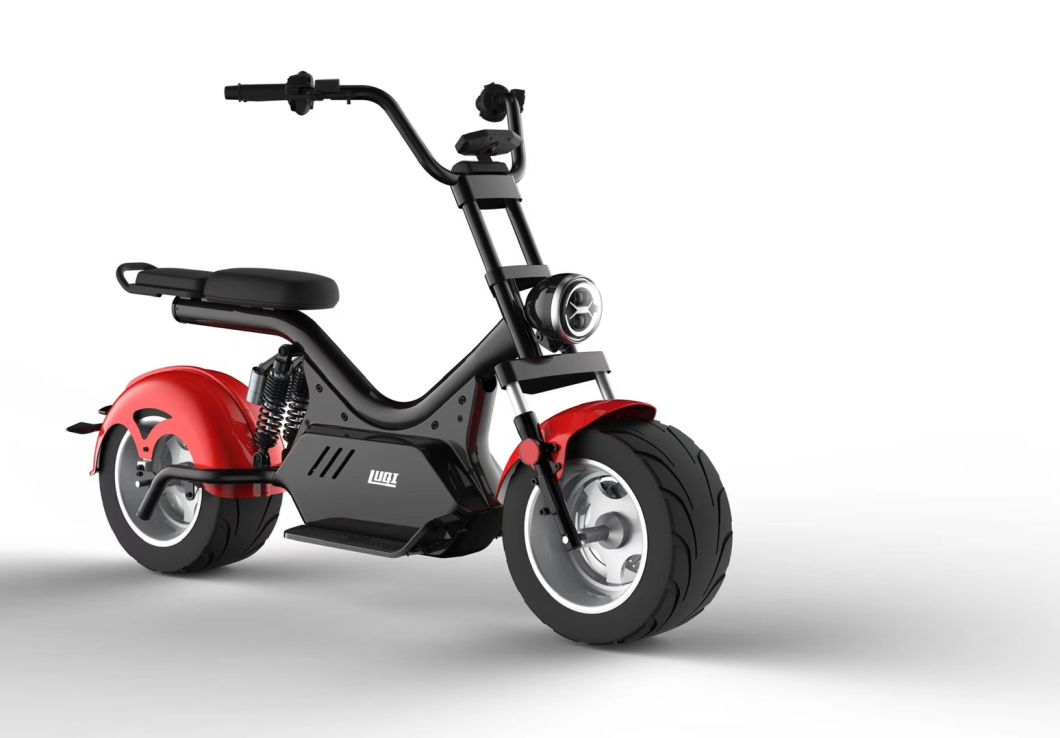 Citycoco Scooter Big Wheel Electric Bike 1200W EEC Electric Scooter