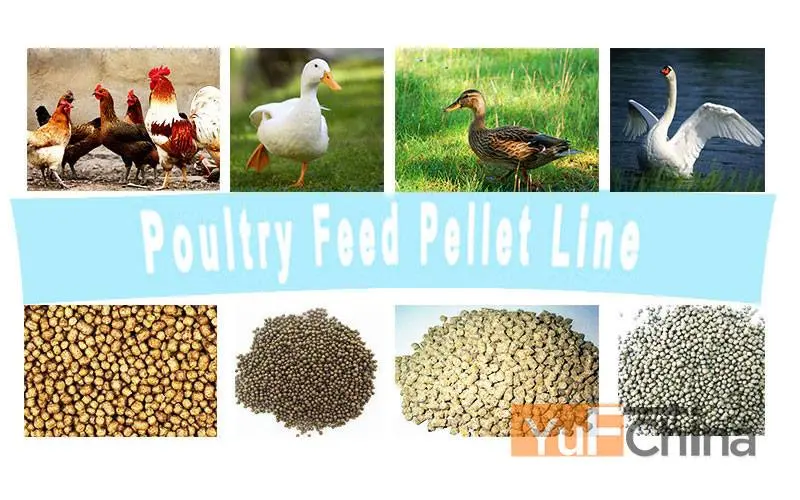 Small Scale Feed Pellet Production Line/Mini Feed Pellet Plant