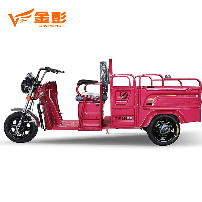 China Factory Sales Electric Tricycle Adult Big Wheel Tricycle Electric Tricycle for Cargo Passenger