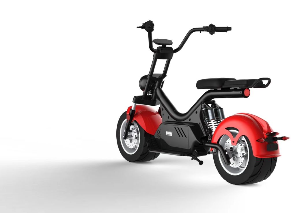 Citycoco Scooter Big Wheel Electric Bike 1200W EEC Electric Scooter