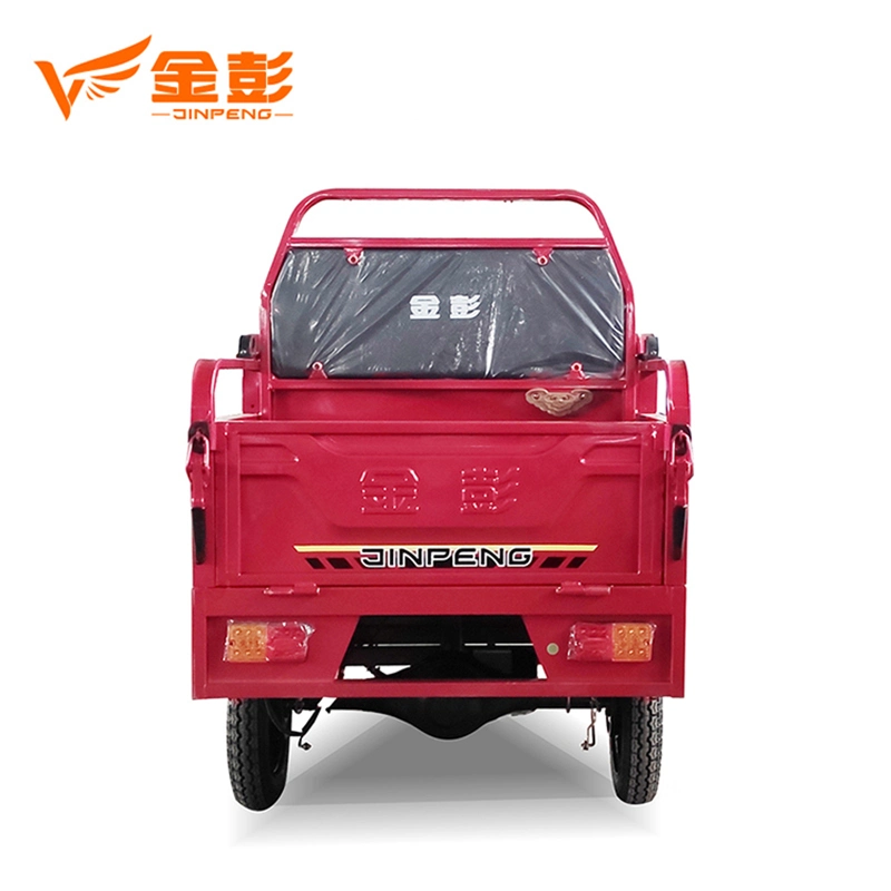 China Factory Sales Electric Tricycle Adult Big Wheel Tricycle Electric Tricycle for Cargo Passenger