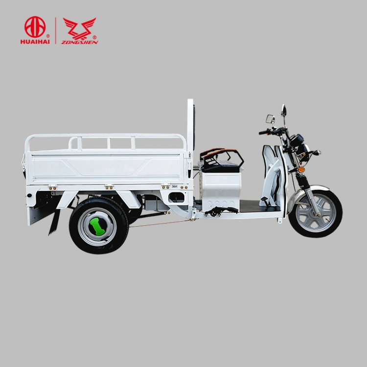 Electric Tricycle Adult Big Wheel Tricycle Electric Bajaj for Cargo Delivery