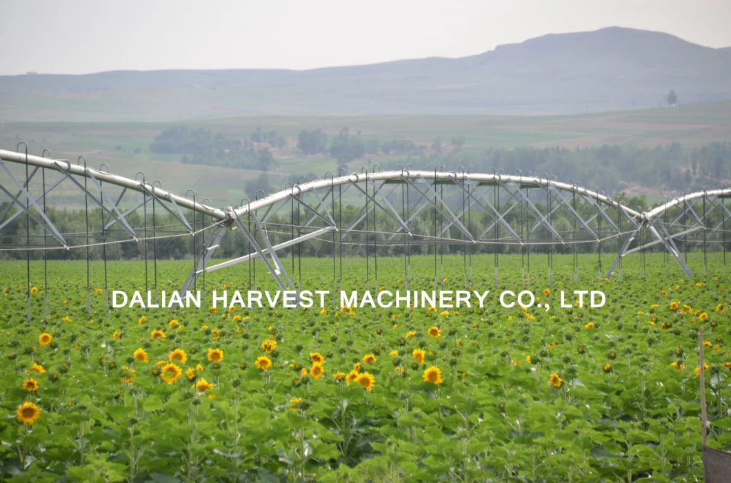 Agricultural Sprinkler Irrigation System with End Spray Sprinkler Lateral Move Farm Irrigation System