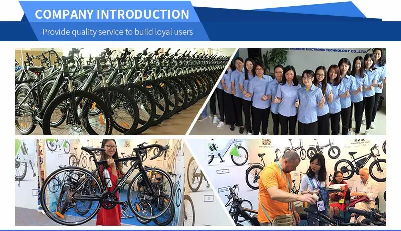 1000W Motorized Bicycle 26-Inch Fat Tire 48V Eelectric Motorbike