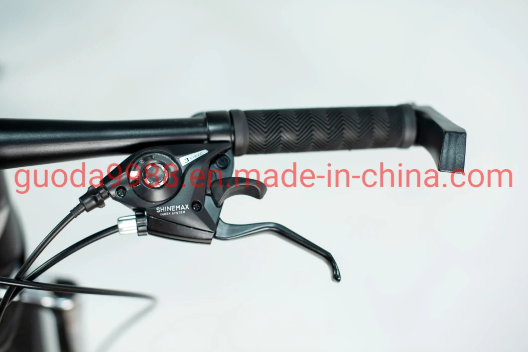 26 Inch Mountain Bike 21 Speed Bike Mountain Cycle Mountain Bike
