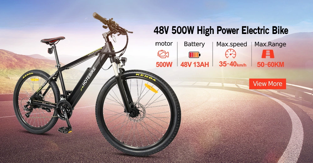 1000W Motorized Bicycle 26-Inch Fat Tire 48V Eelectric Motorbike