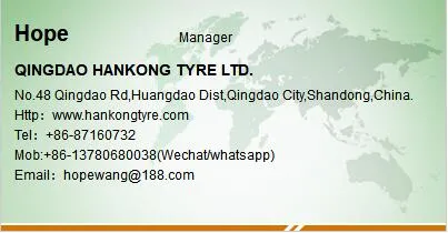 Agricultural Farm Tire Turf Tire/ATV Tire (23X10.5-12)