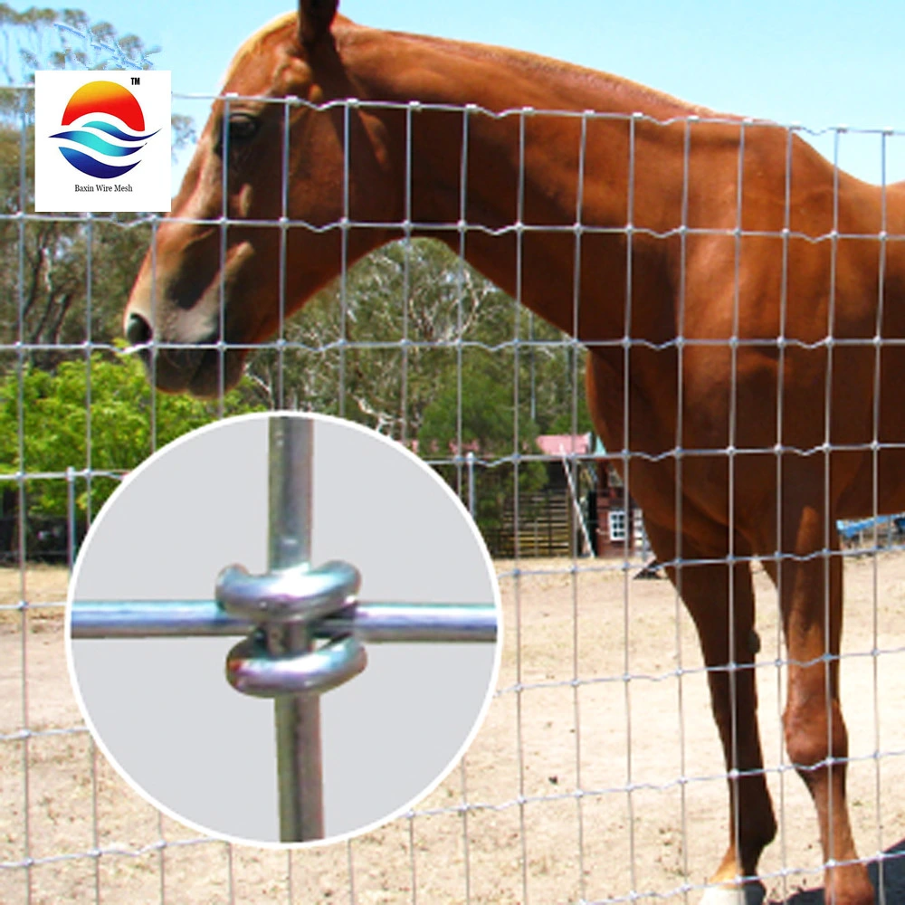 Factory Supply Cheap Field Wire Mesh /Cattle Fence/Deer Fence