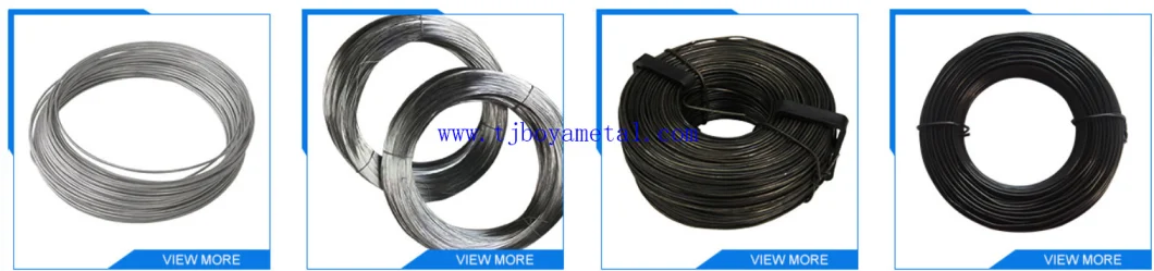 Electrical/Hot Dipped Galvanized Wire/Iron Wire/Galvanized Wire/Binding Wire/Tie Wire/Alambre/Wires for Building and Construction
