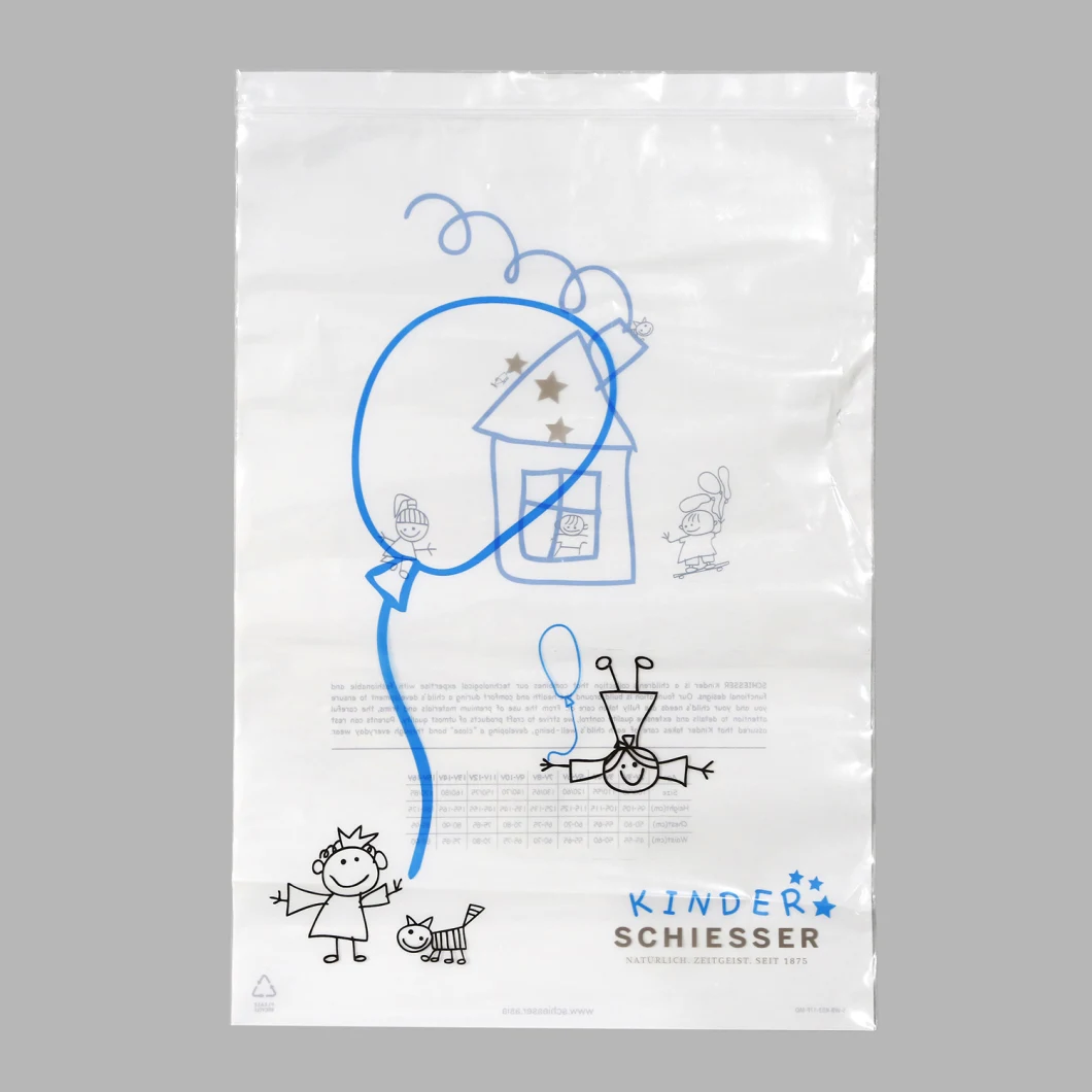 Plastic PE Double Zip Lock Food Storage Bag Reclosable Zipper Bag Plastic Bag