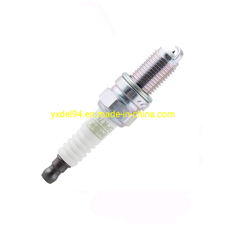 Wholesale Best Platinum Spark Plug Ngk Spark Plugs for BMW Dcpr7egp 1682