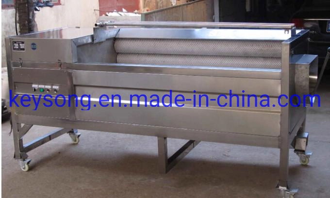 Automatic Mushroom Lettuce Ginger Onion Fruits Vegetables Washing Machine