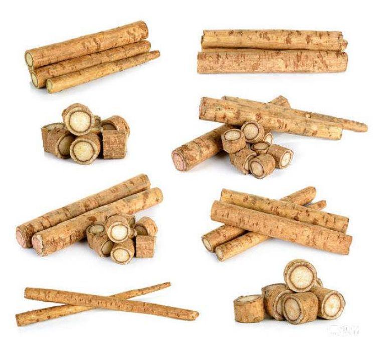 Fresh Burdock Root Bulk IQF Frozen Fresh Abrojo Burdock