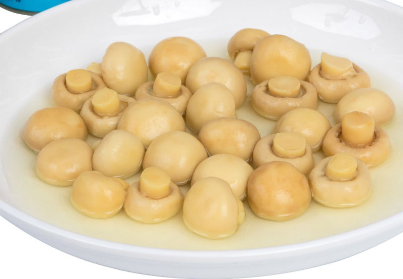 Canned Mushroom Champignons Sliced Mushroom, Mushroom Pieces and Stems on Sale