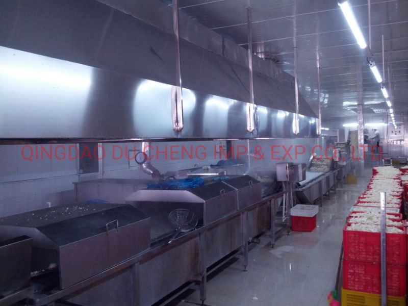 Quality Grade a Fresh Frozen Shiitake Mushroom Fresh Shiitake Mushrooms