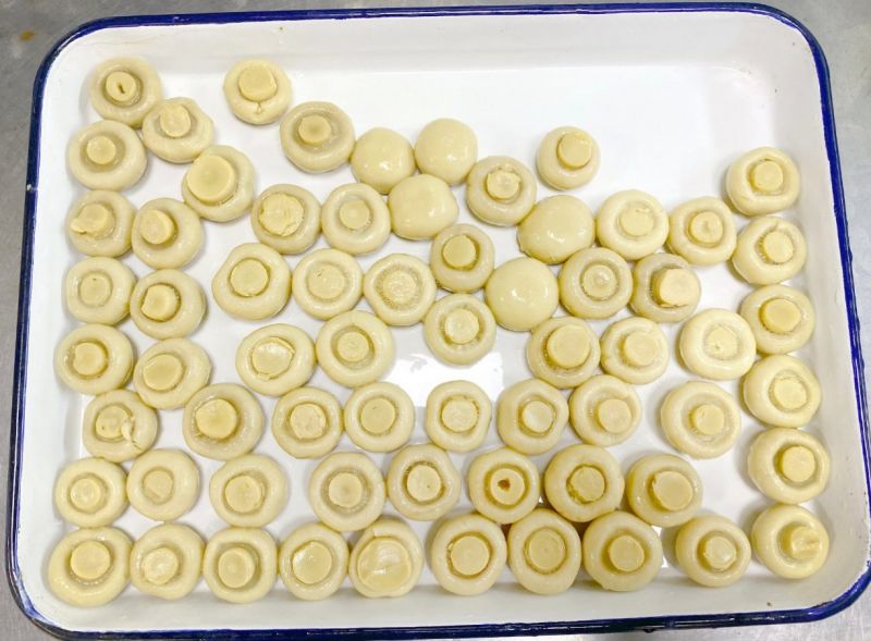 Canned Mushroom Champignons Sliced Mushroom, Mushroom Pieces and Stems on Sale