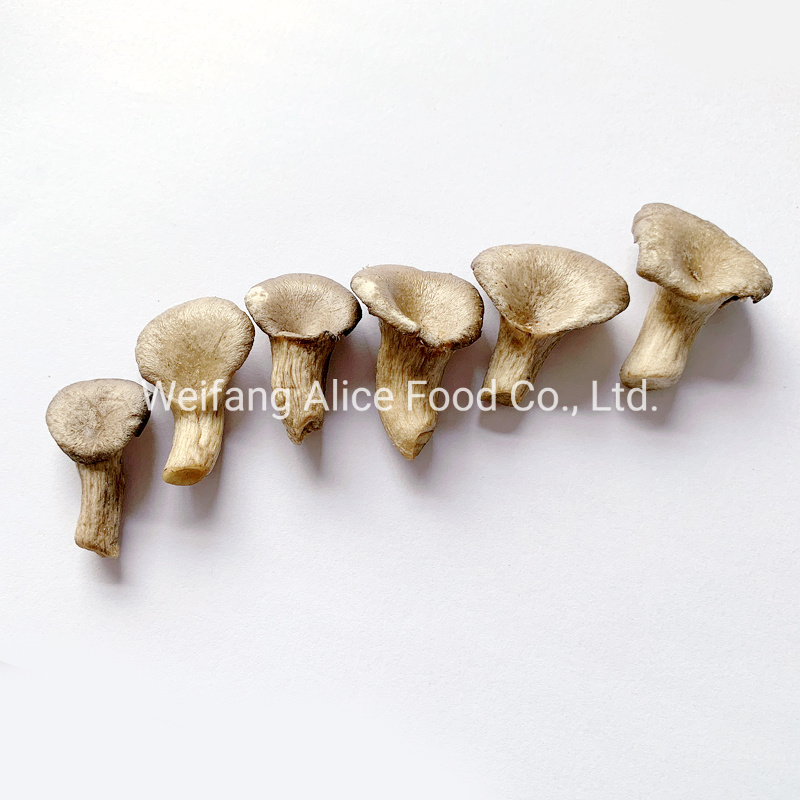 Halal Cert Popular Snack Oyster Mushroom Chips Vacuum Fried Oyster Mushroom