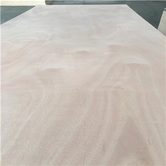 Good Quality and Price Beech Plywood Board AA Grade Beech Veneer Face and Back
