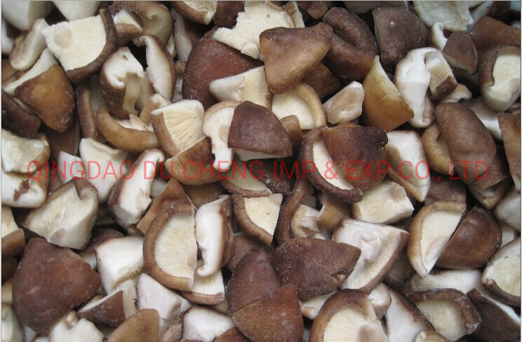 Hot Sale Mixed Mushroom Oyster Mushroom Shiitake Mushroom