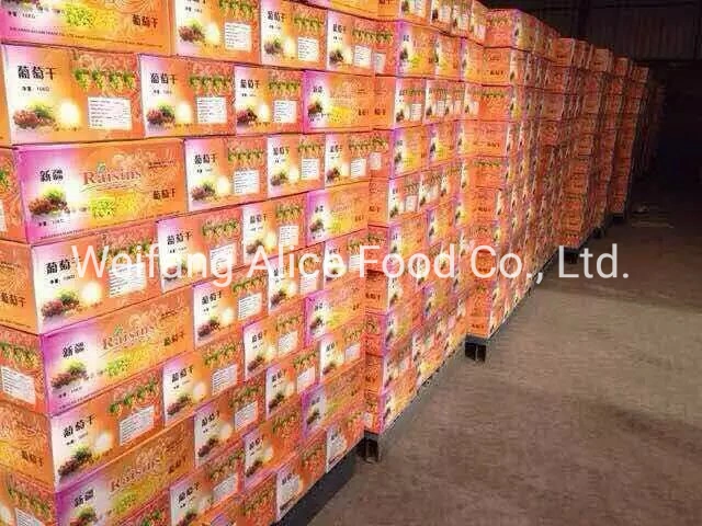 Wholesale Dried Grape Dried Red Raisins Dried Sultana Bulk Price