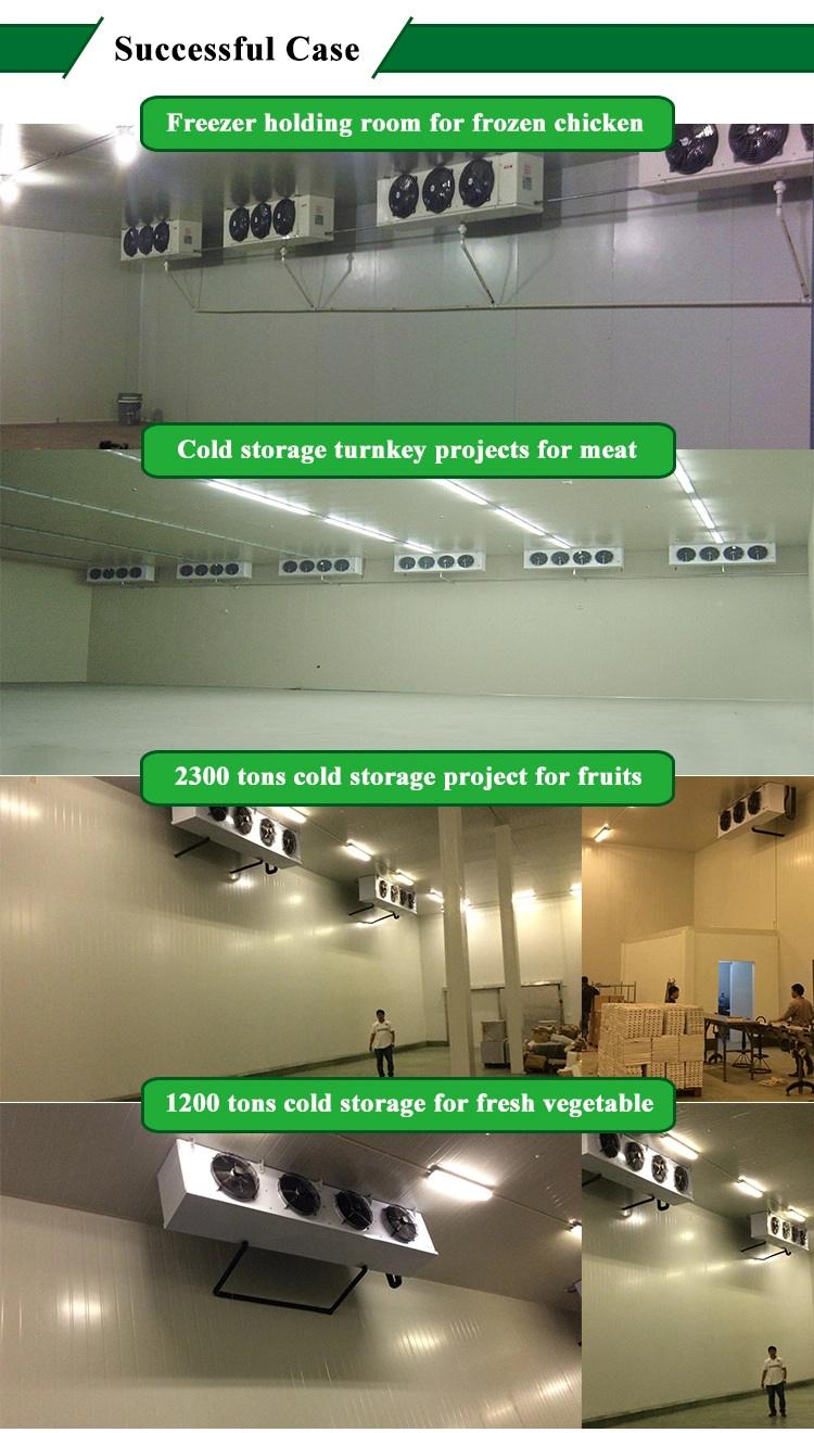 Romaine Lettuce Fresh Milk Freezing Cold Room Meridian Cold Storage Industrial Walk in Fridge