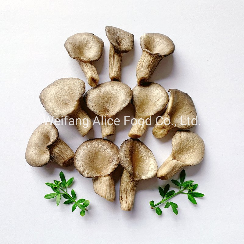 Halal Cert Popular Snack Oyster Mushroom Chips Vacuum Fried Oyster Mushroom