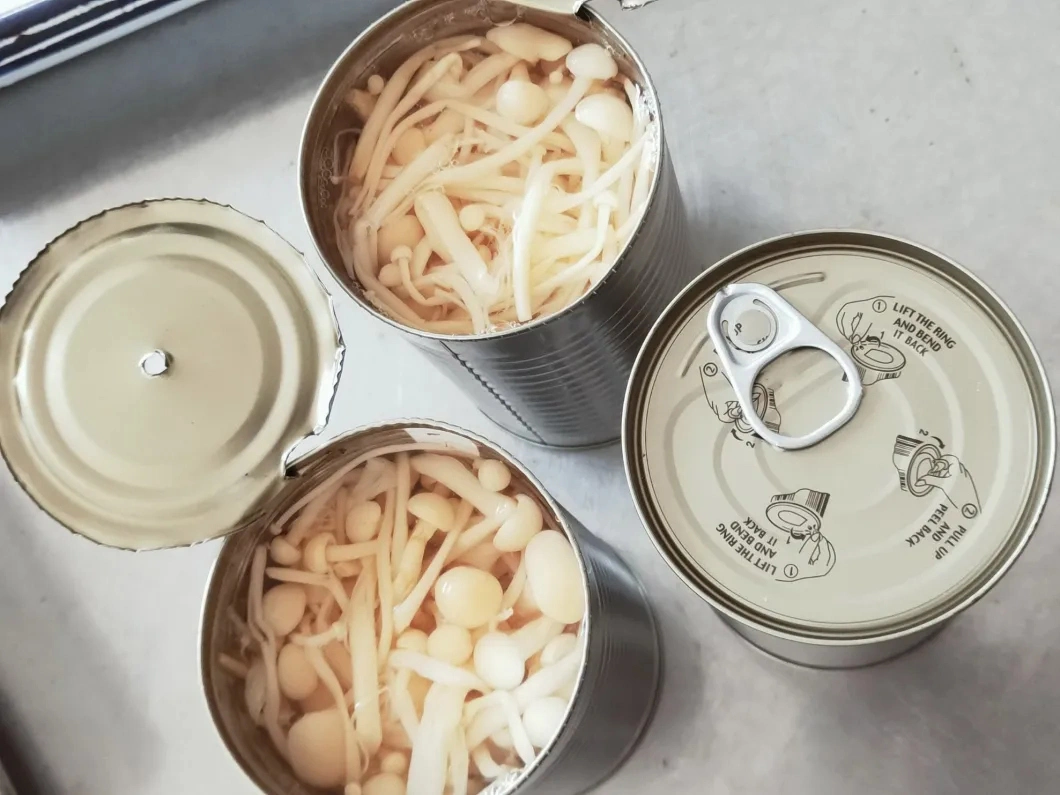Canned Green Cultivated Enoki Mushroom in Water