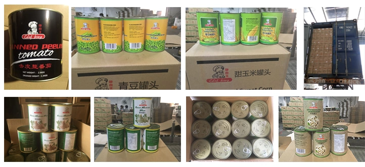 Chinese Factory Big Discount Health Mushroom Canned Food