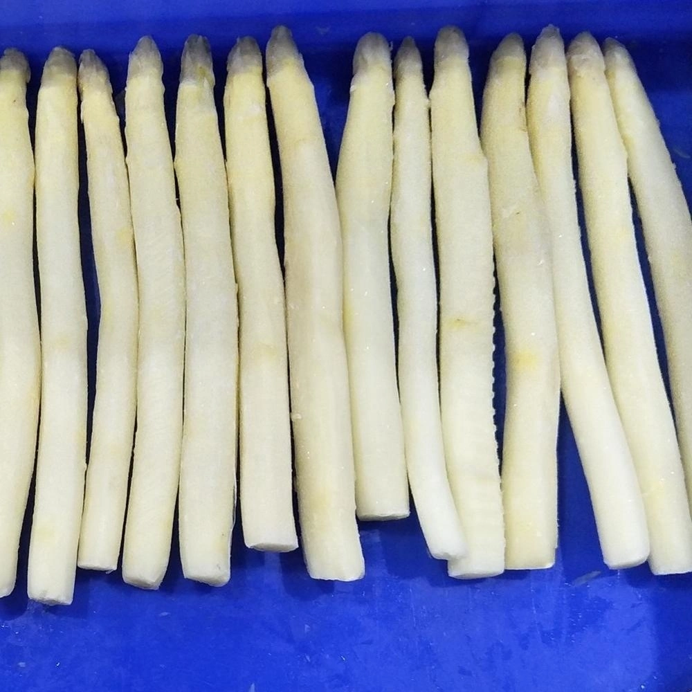IQF Freezing Fresh White Asparagus