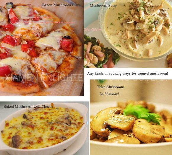 Canned Mushroom Slice Whole Champignon Mushroom in Brine