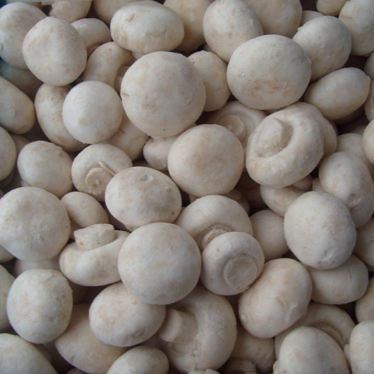 IQF Champignon Sliced Champignon IQF Mushroom