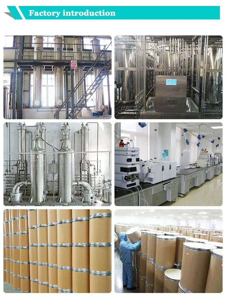Natural Organic High Quality Grifola Frondosa Extract/Maitake Mushroom Extract