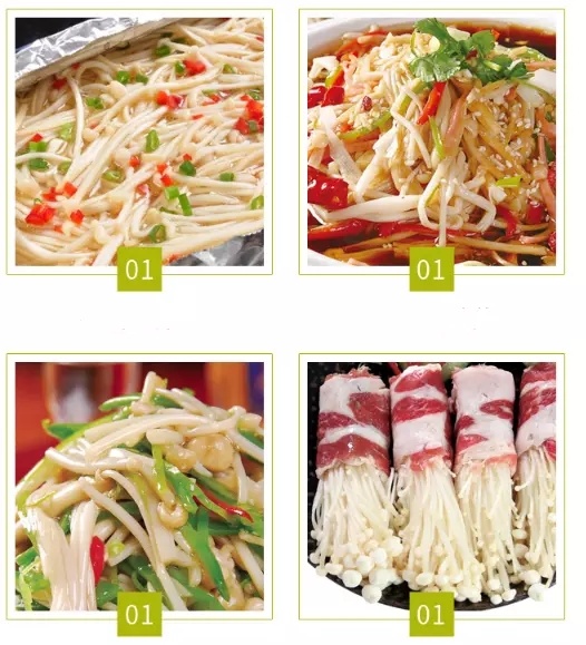 Canned Healthy Enoki Mushroom White Needle Mushrooms