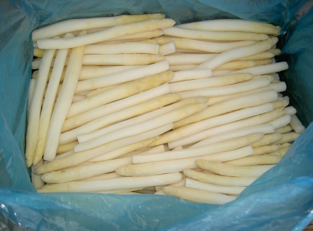 IQF Freezing Fresh White Asparagus
