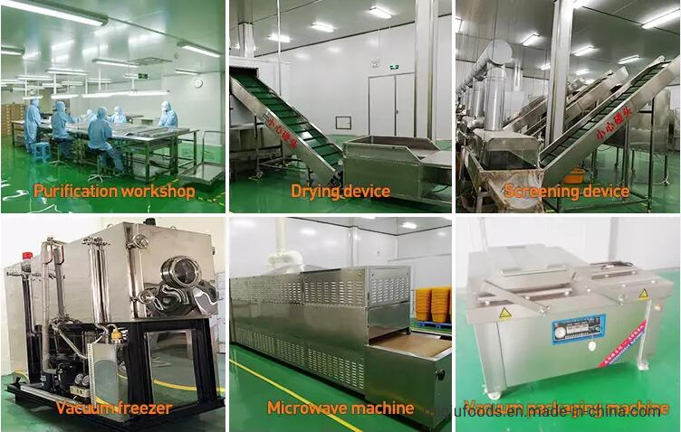 High Quality Shiitake Mushroom Dried Flower Mushroom Henan Mushroom
