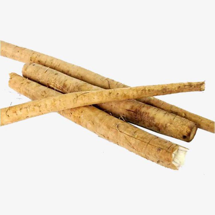 Fresh Burdock Root Bulk IQF Frozen Fresh Abrojo Burdock