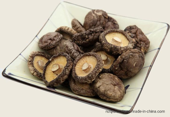 Dried Shiitake Mushrooms Dehydrated Mushrooms Whole Shiitake