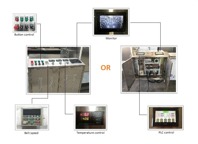Vegetables/Seafood/Flower/Agricultural Products/Mushrooms/Blet Dryer Drying Equipment