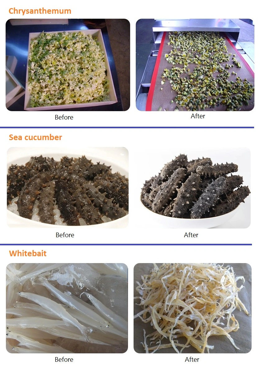 Vegetables/Seafood/Flower/Agricultural Products/Mushrooms/Blet Dryer Drying Equipment