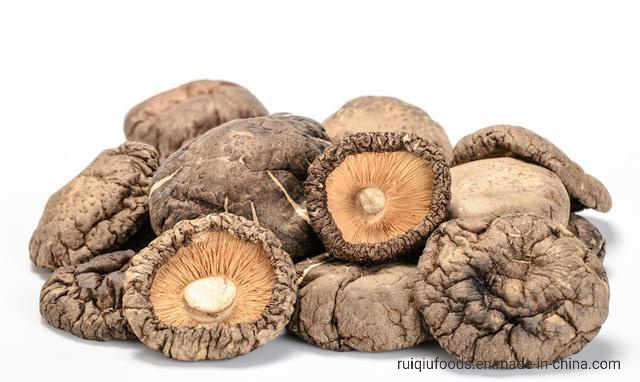 Dried Shiitake Mushrooms Dehydrated Mushrooms Whole Shiitake