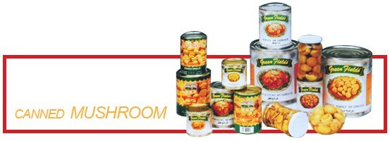 Edible Fungi Canned Instant Enoki Mushroom