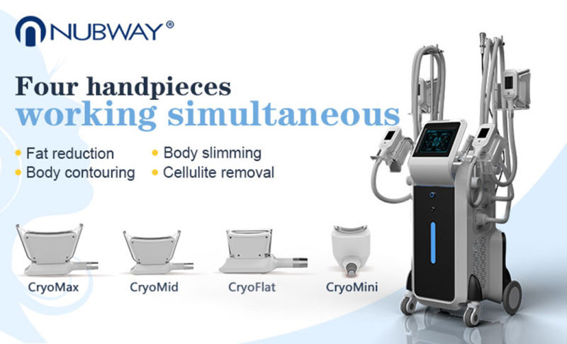 Professional Treatment Procedure Cryo Cool Fat Shaping Equipment with Anti-Freeze Membranes