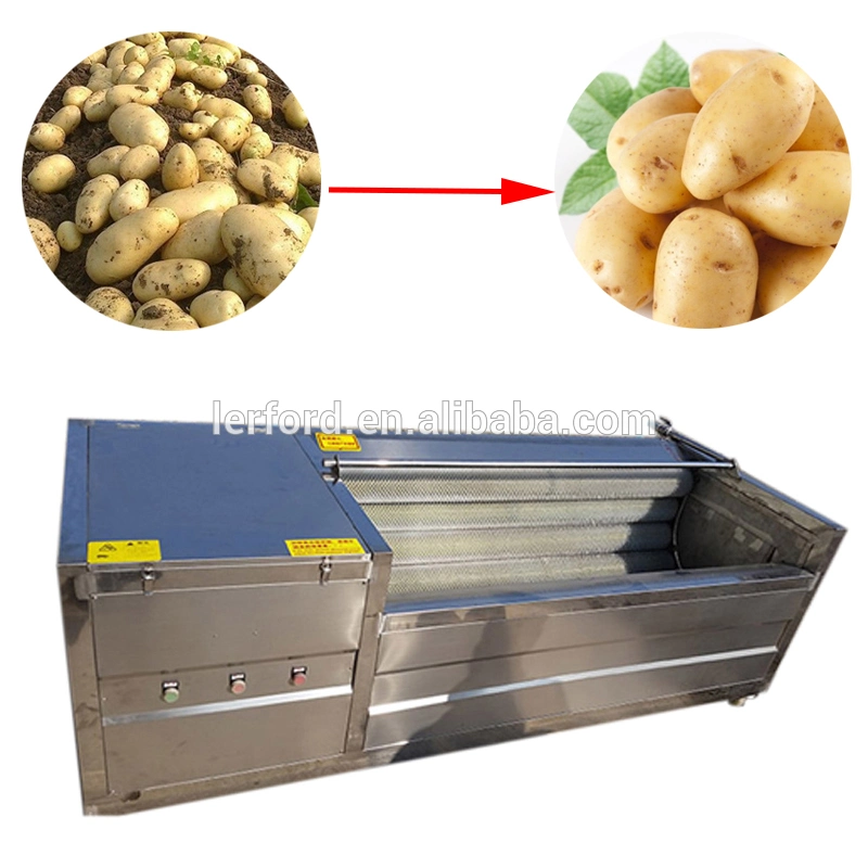 Brush Washing and Peeling Vegetable Fruit Washing Machine