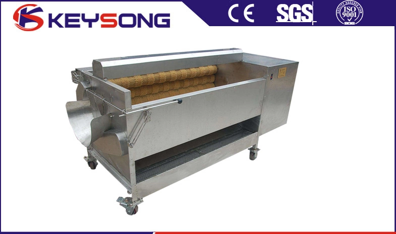 Brush Roller Vegetable Washing Machine Vegetable Washing and Peeling Machine