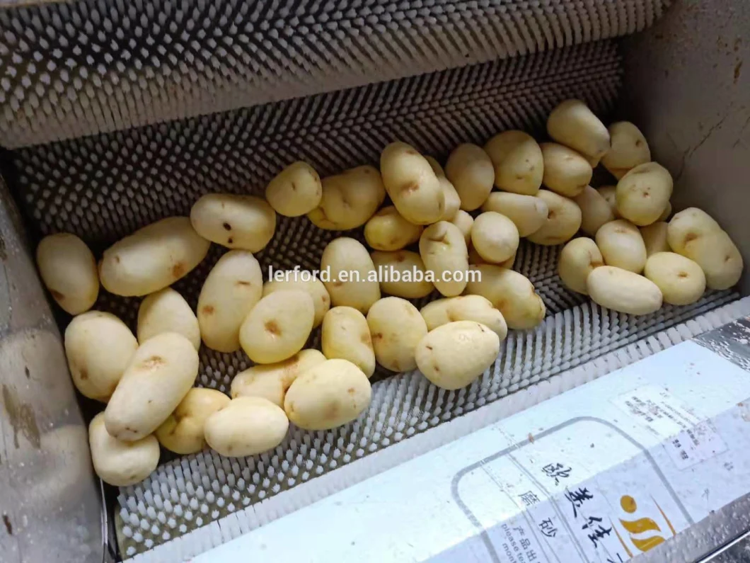 Brush Roller Roots Vegetable Washer Turnip Ginger Potato Cassava Radish Peeling and Washing Machine